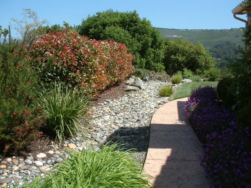 Rock Edging and Shrubs