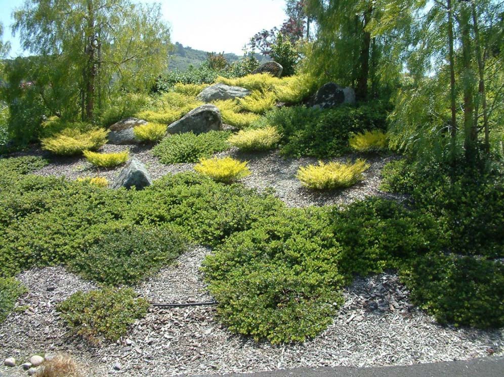 Shades of Green on Hillside