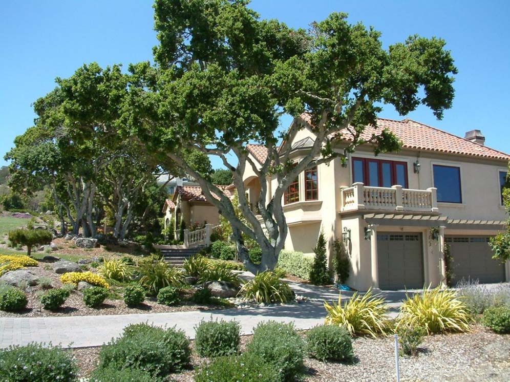 Graceful Tree and House