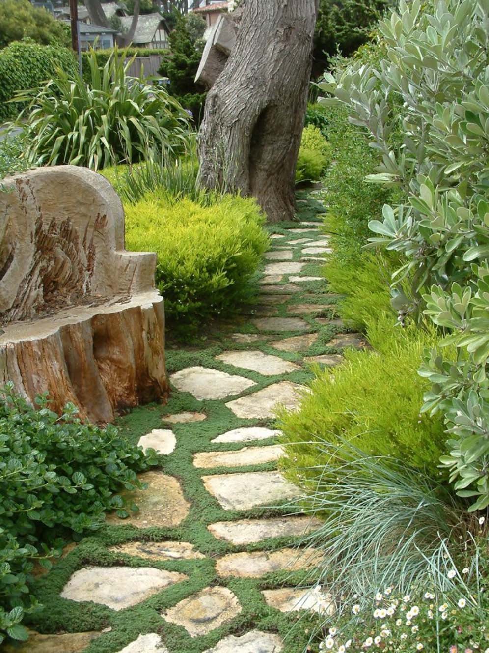 Path Through Fairyland