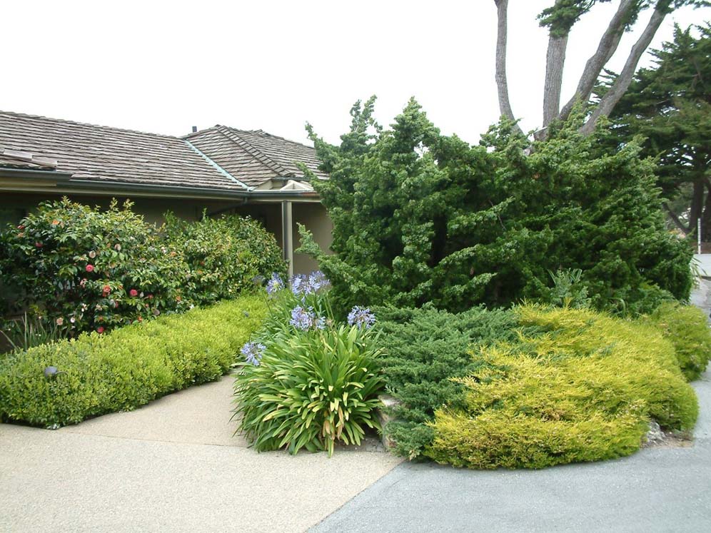 Foliage Hides Entryway