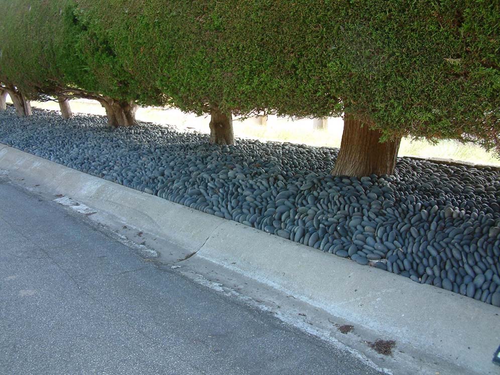 River Stones Support Shrubs