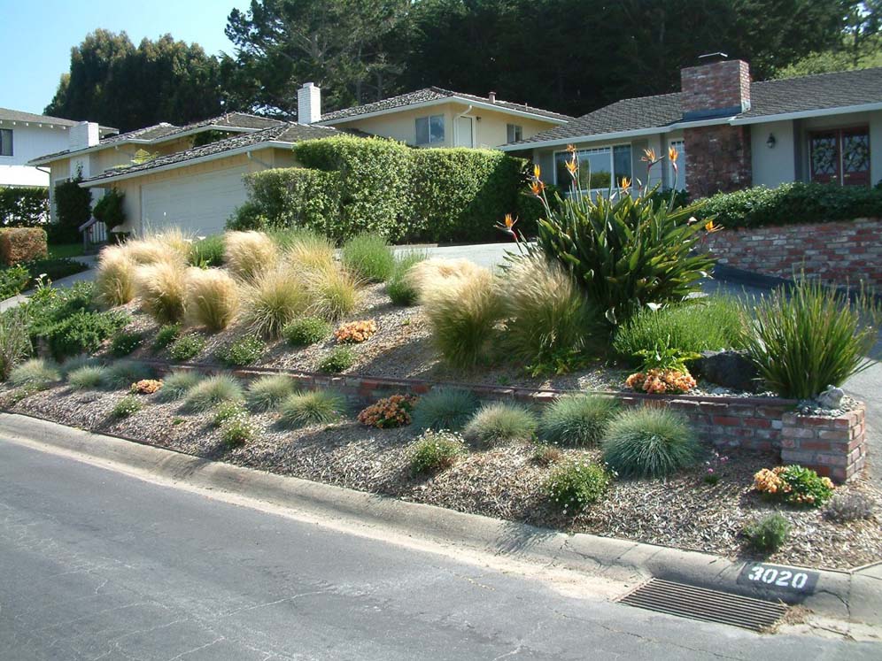 Tufts of Grasses