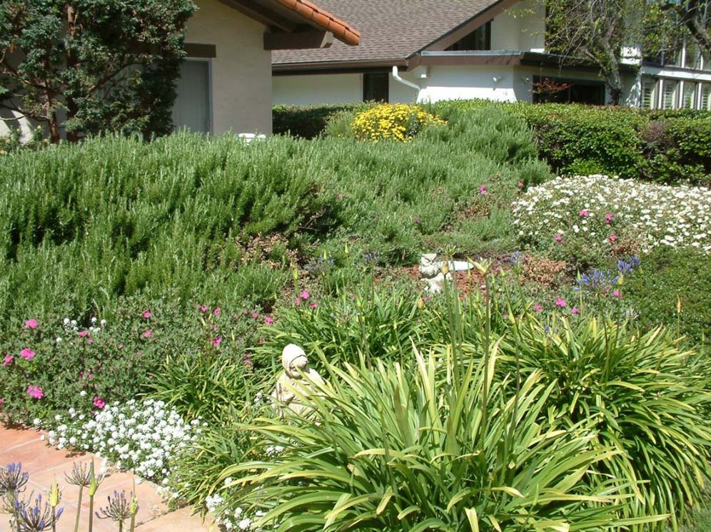 Hidden Statue in the Garden