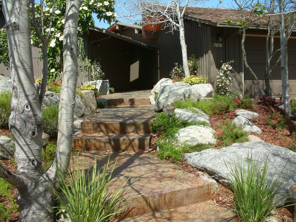 Path in Dappled Shade