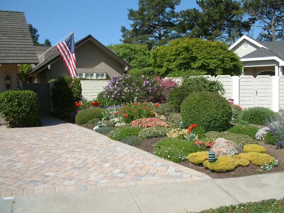 Neatly Trimmed Shrubs