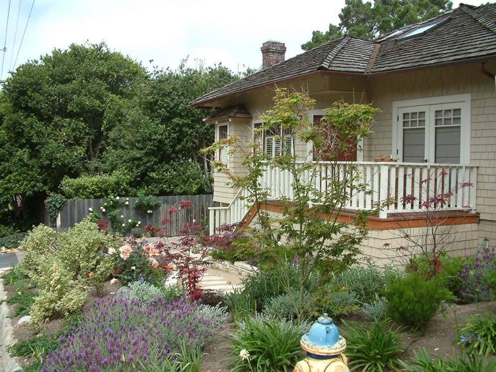 Fire Hydrant Overlooks Garden