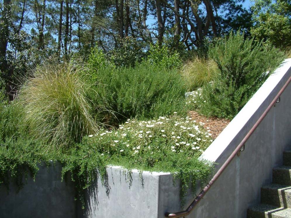 Greenery Next to Stairs