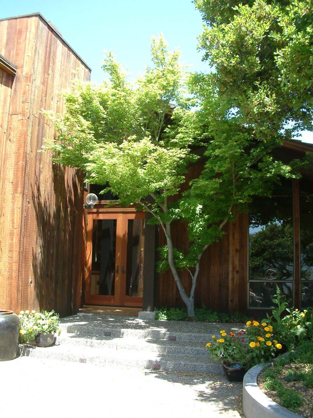 Tree Specimen in Entryway