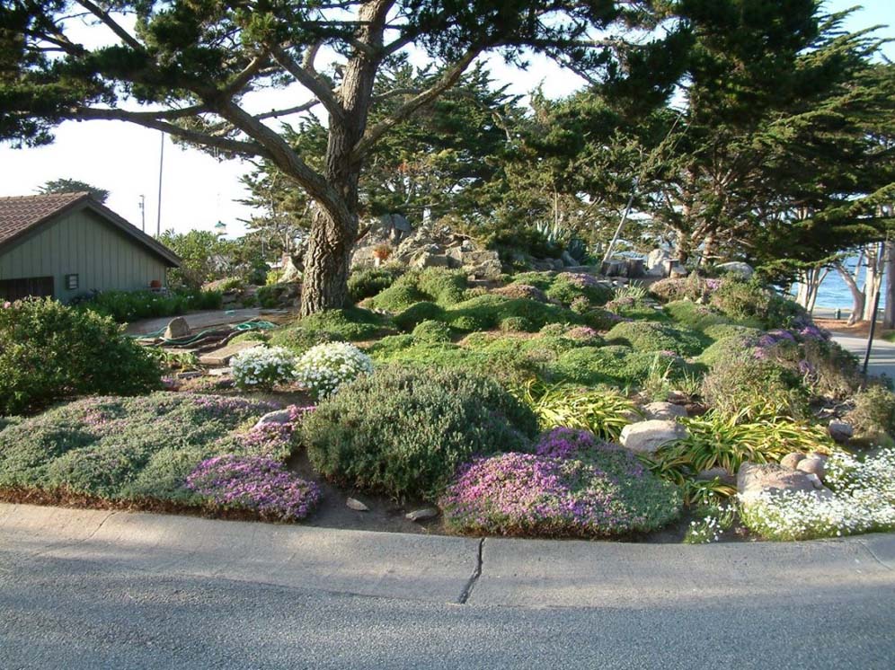 Seaside Garden