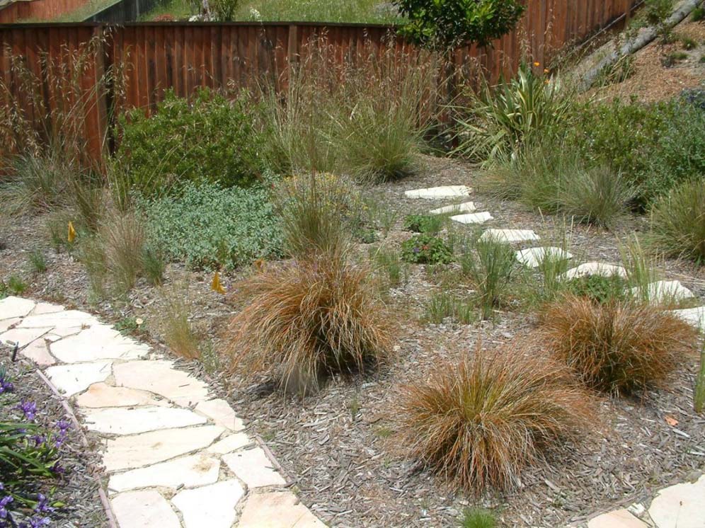 Grasses and Mulch