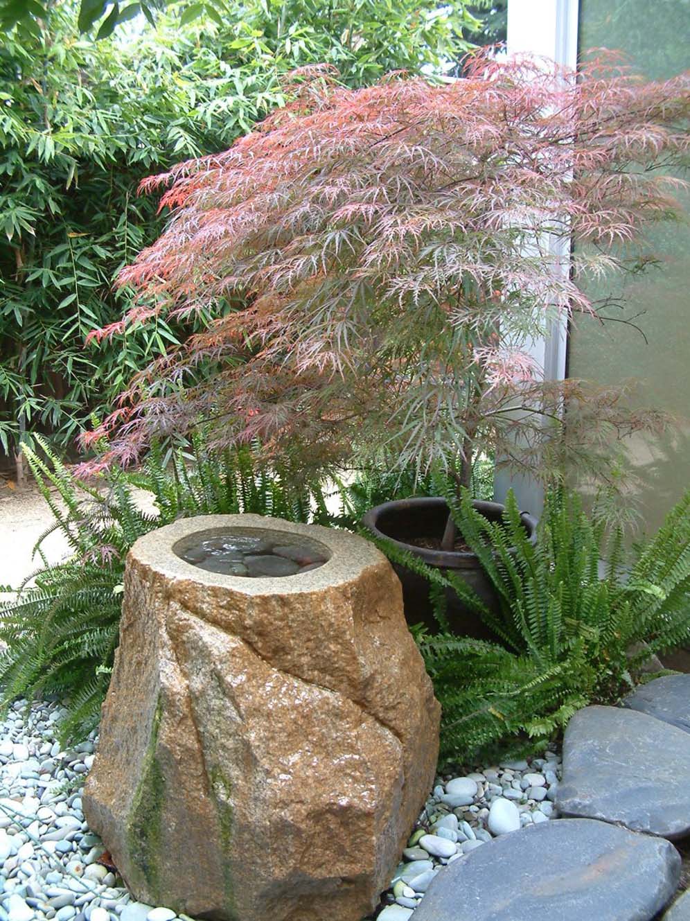 Basin under the Japanese Maple