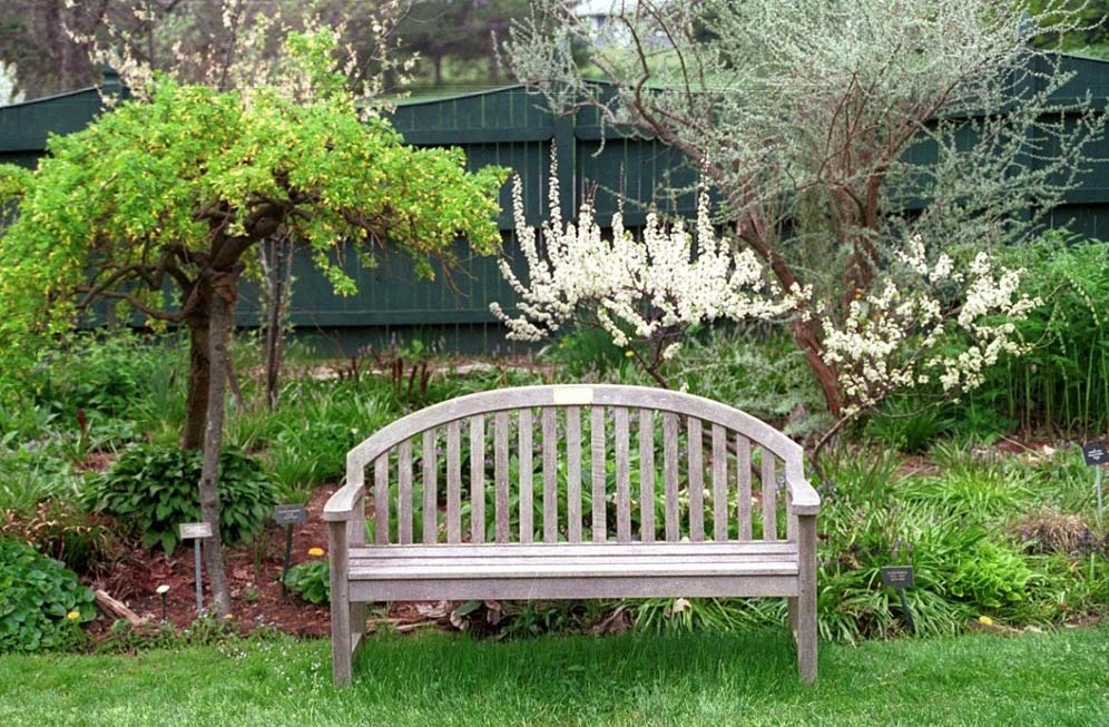 Garden Bench