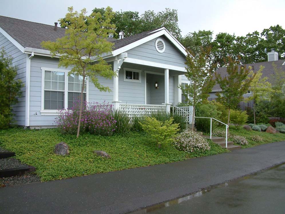 Cottage Home Front Yard