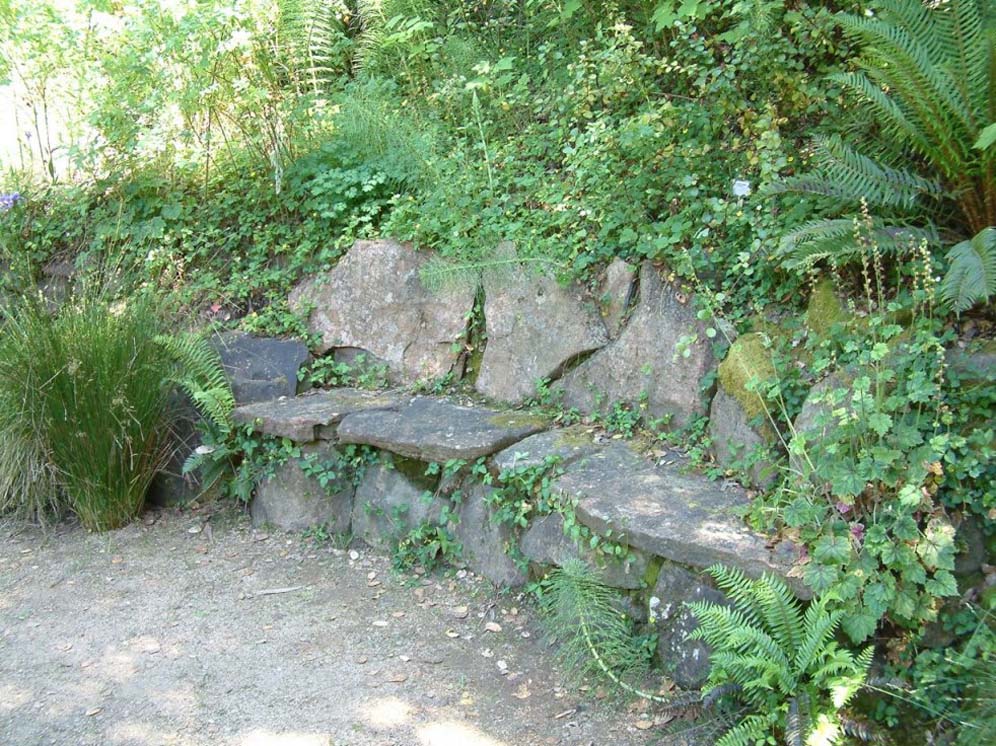 Half-Hidden Stone Bench