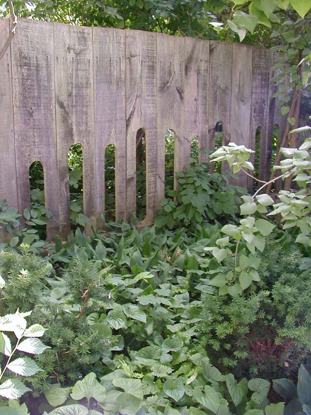 Peekaboo Fence