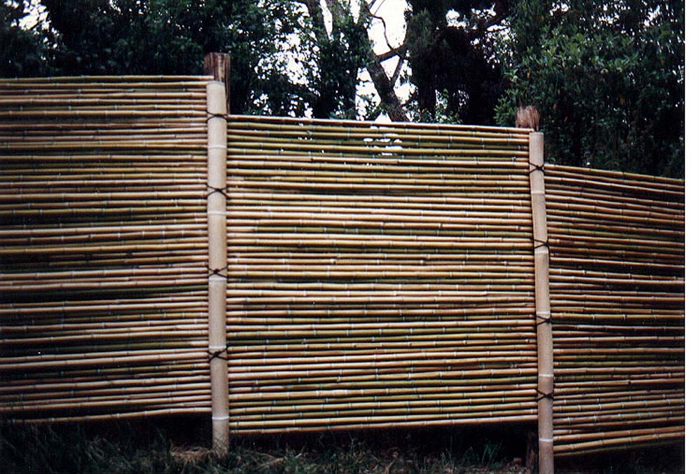 High Bamboo Fence