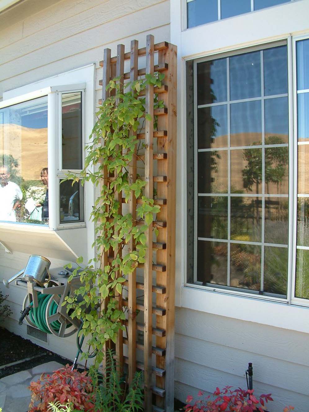 Trellis Next to Garden Window