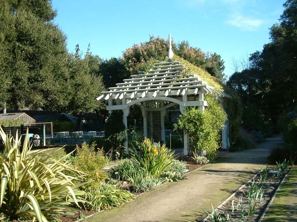 Vine-covered Gazebo