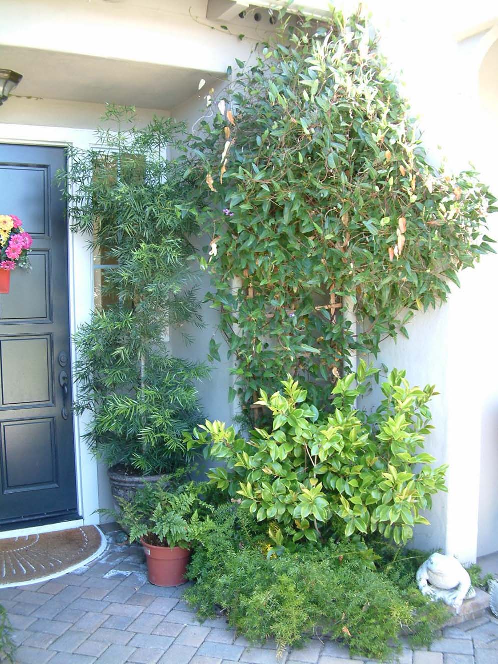 Green Entryway