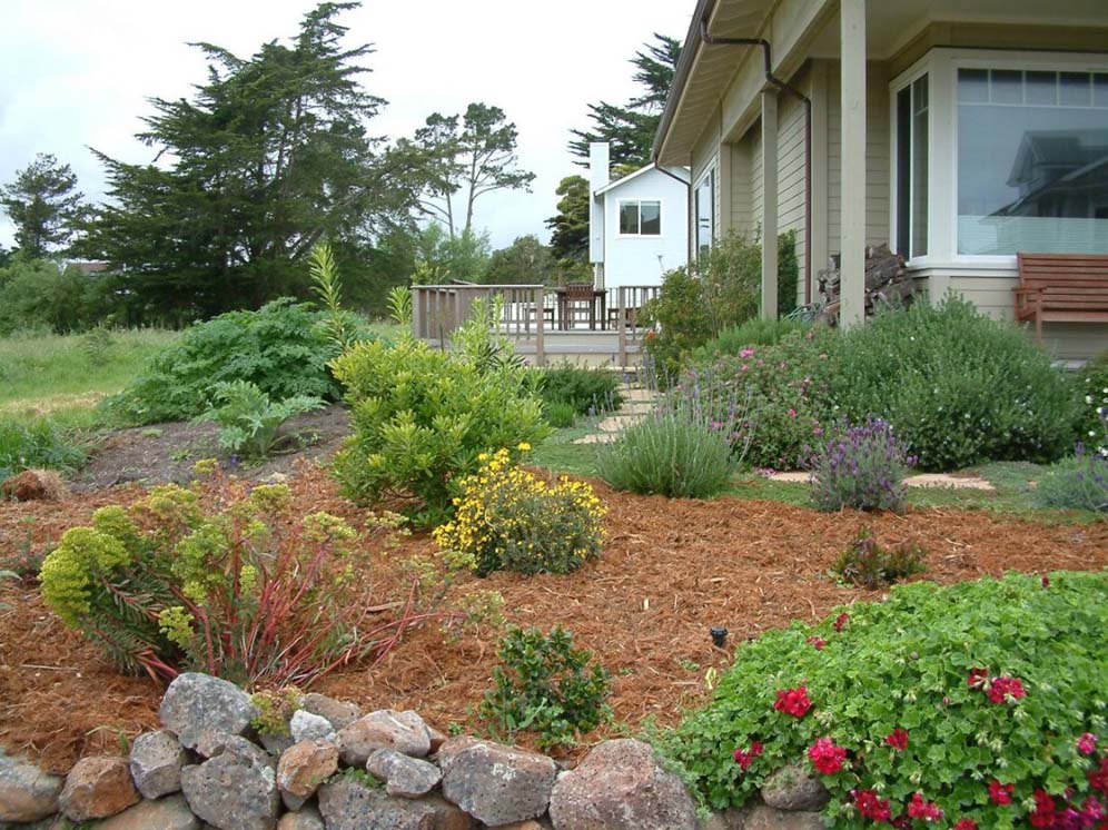 Mulch Among Plants