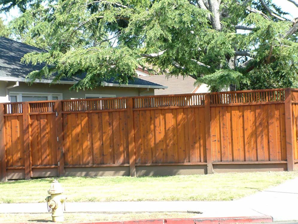 Wood Fence and Tree