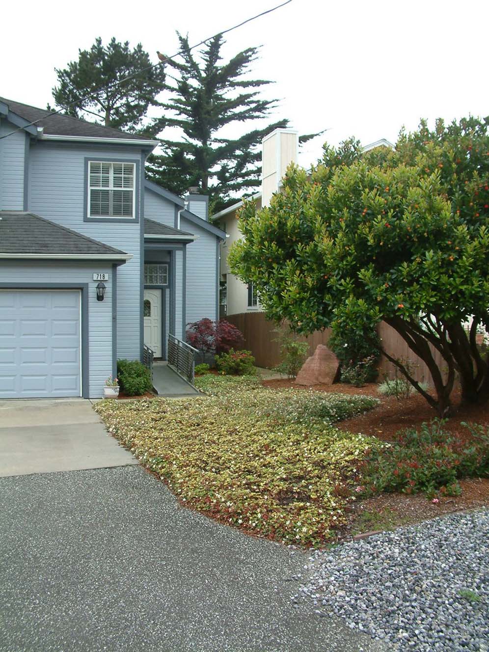 Neatly Trimmed Front Garden