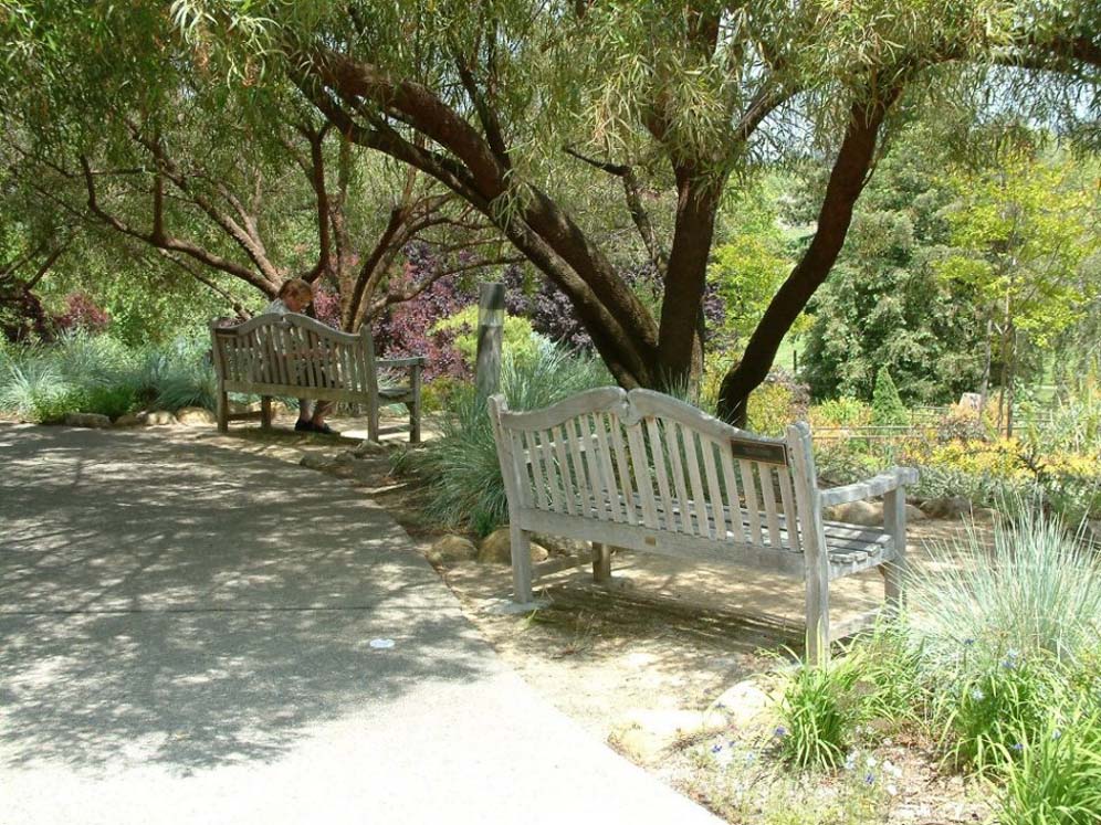 Reading Benches