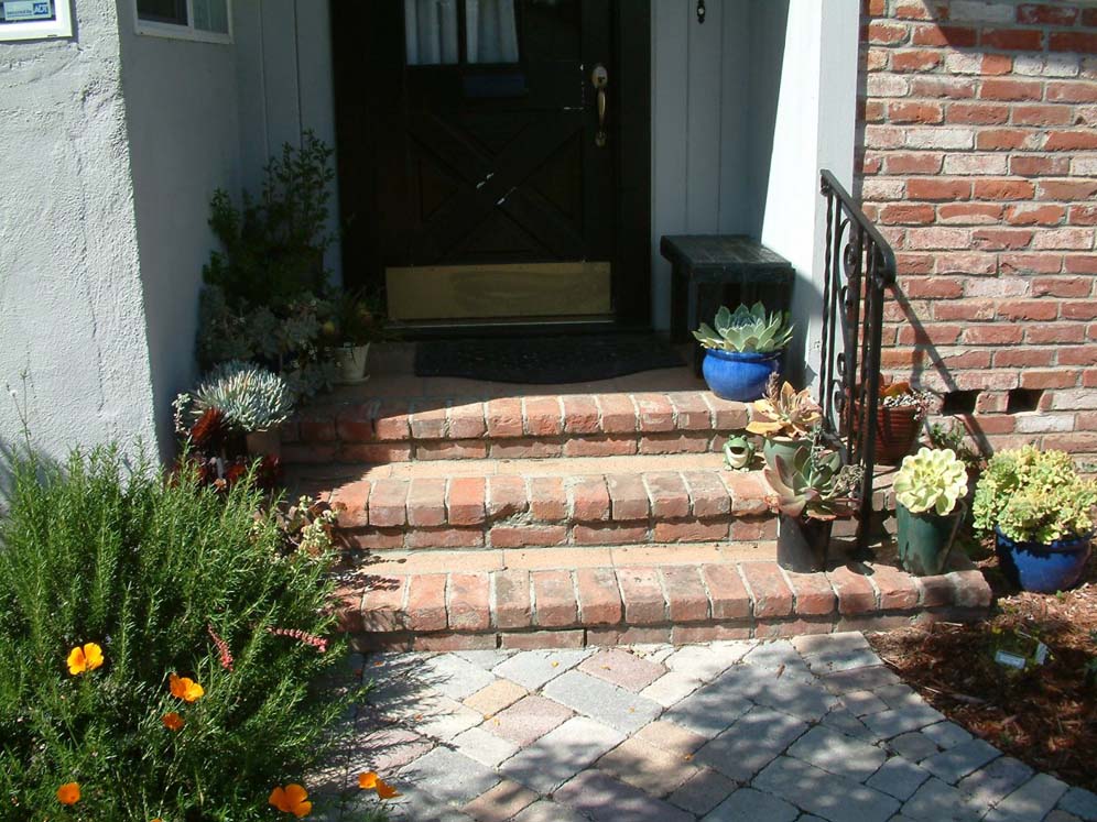 Front Doorsteps Lined With Succulents